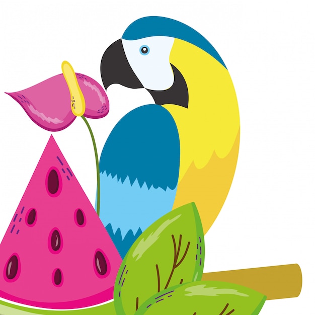 Tropical bird parrot cartoon