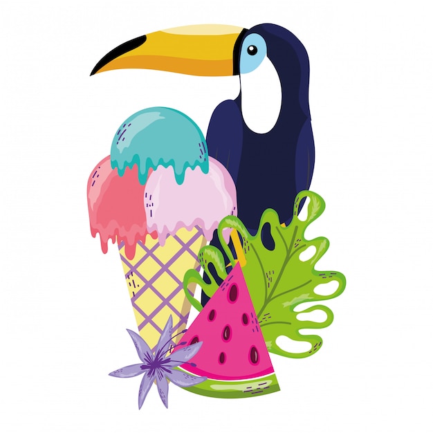 tropical bird tucano cartoon
