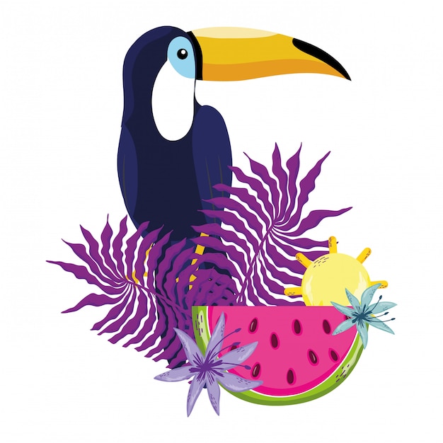 Vector tropical bird tucano cartoon