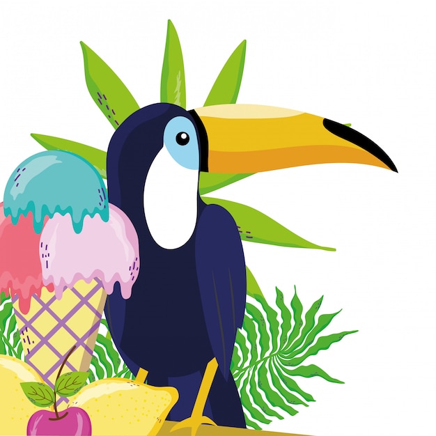 Vector tropical bird tucano cartoon