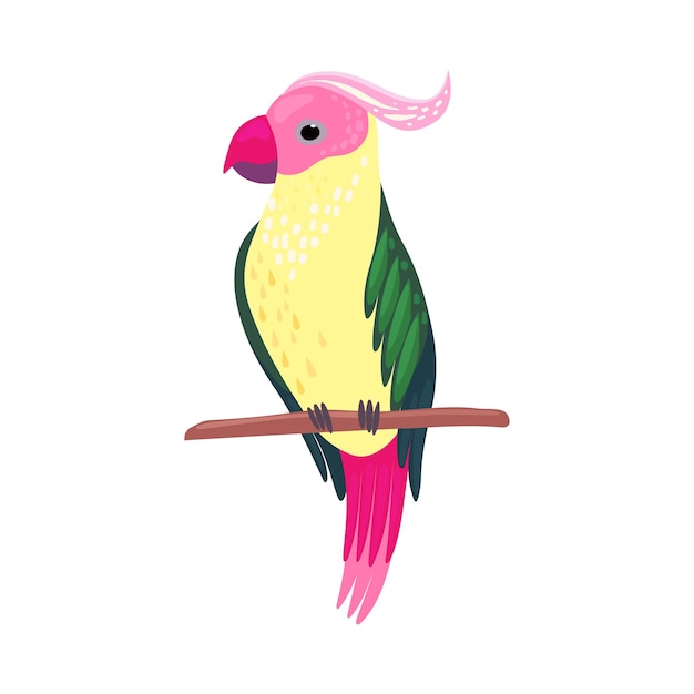 Vector tropical bird with bright feathers sitting on tree branch vector illustration