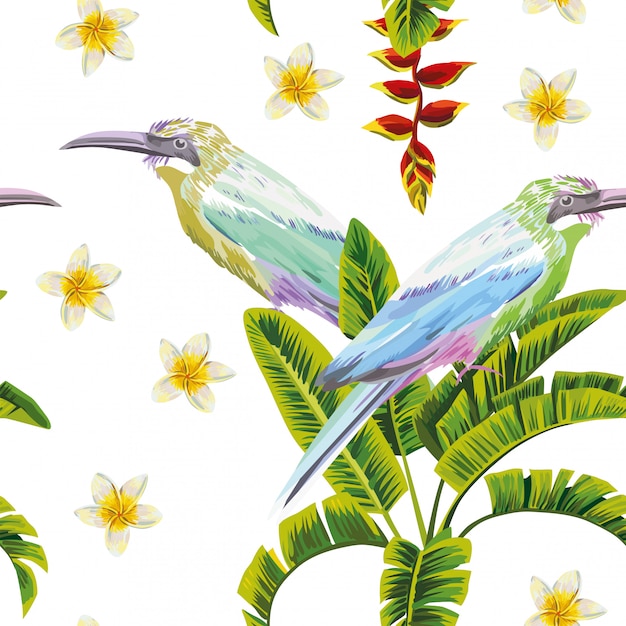 ベクトル 熱帯の鳥の花と植物のシームレスパターン