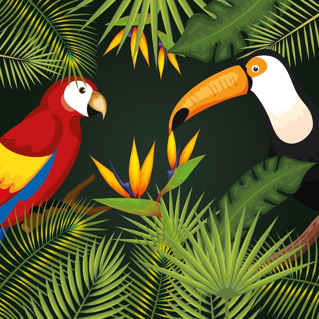 Tropical birds