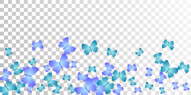 Illustrazione vettoriale astratta delle farfalle blu tropicali estate c