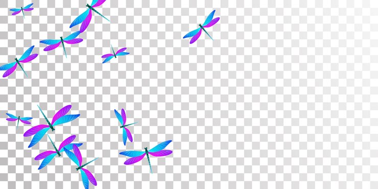 Vector tropical blue purple dragonfly isolated vector wallpaper summer