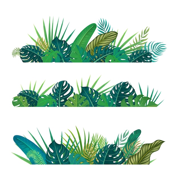 Vector tropical border