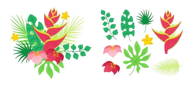 Bouquet di fiori tropicali di heliconia. hawaiano. giungla esotica disegnata a mano. illustrazione