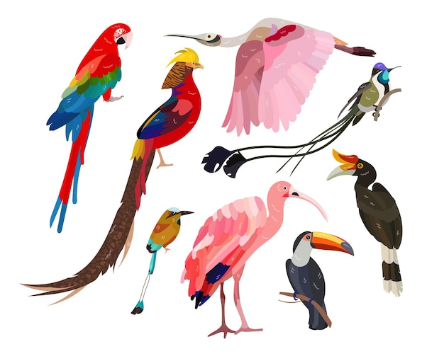 熱帯の明るい鳥が設定されています。エキゾチックな島の楽園からのカラフルな動物のベクトルイラスト。白で隔離の漫画オウムオオハシサイチョウ。野生動物園の自然、動物相、鳥類学の概念