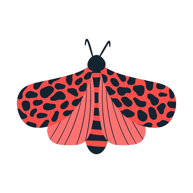 色とりどりの翼と白い背景で隔離のアンテナを持つ熱帯の蝶の蛾飛んでいる蛾の上面図エキゾチックな春の昆虫ベクトルイラストフラットスタイル
