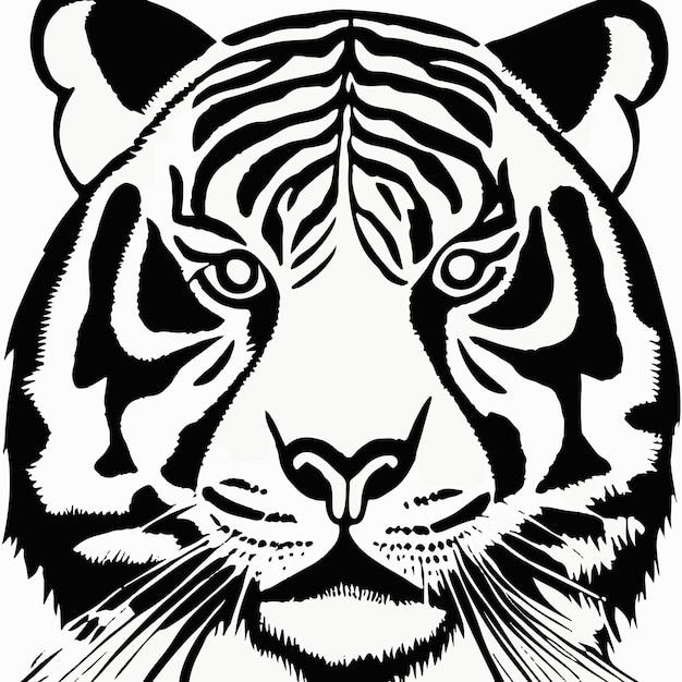 Drawing Bengal Tiger locking or big cat, Stock vector