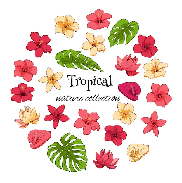 Tropical collection with exotic flowers and carved leaves in cartoon style.