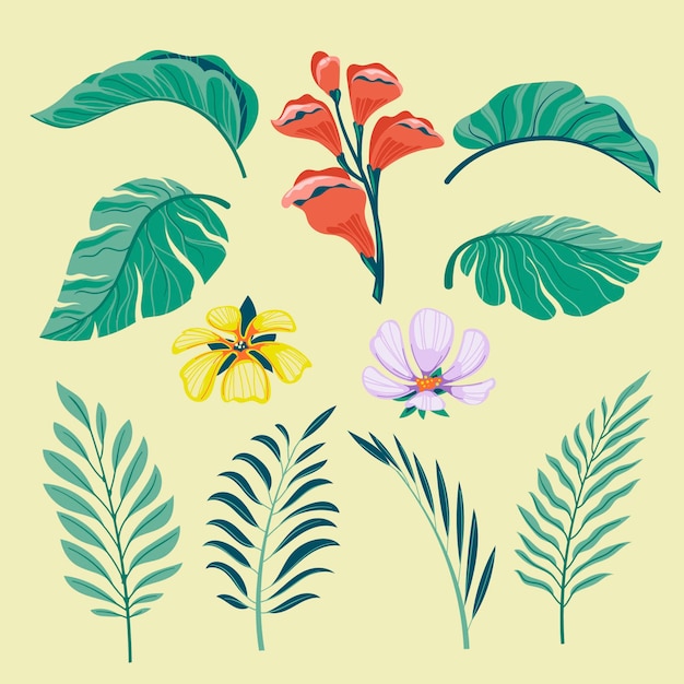 Tropical collection with exotic flowers and leaves