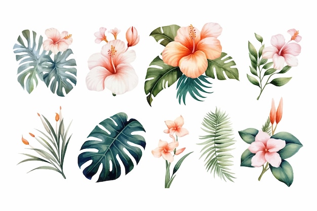 Tropical Collection with plants elements leaf flowers Flat handdrawn illustration isolated on white background