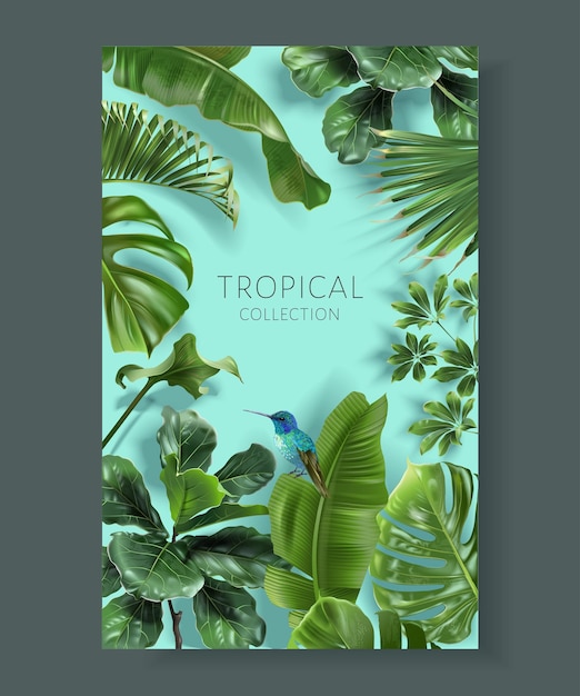 Tropical color frame