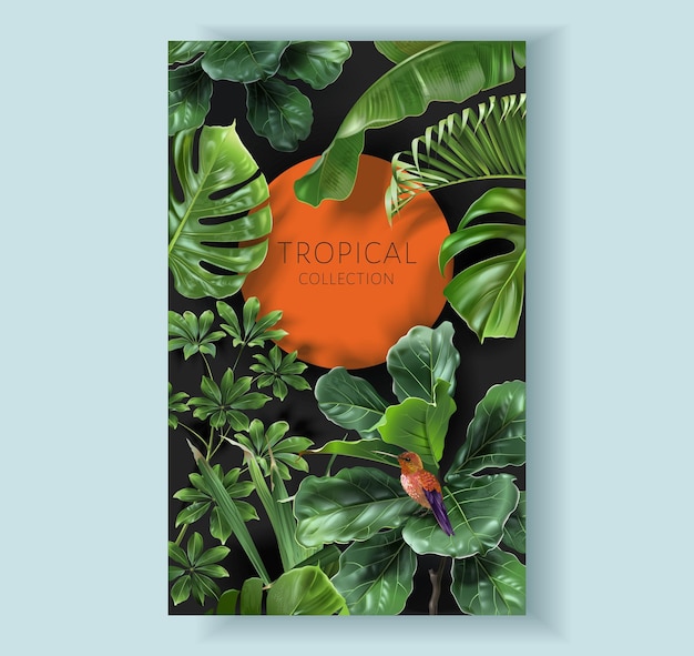 Tropical color frame