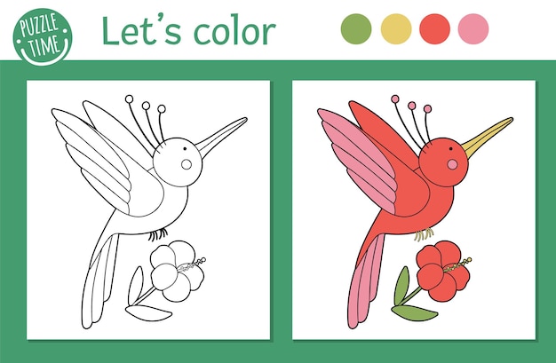 Tropical coloring page for children.   humming bird with flower illustration. Cute funny animal character outline. Jungle summer color book for kids with colored version and example