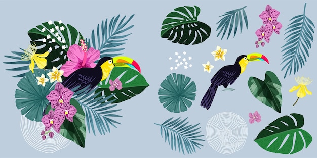 Vector tropical composition with toucan and tropic leaves