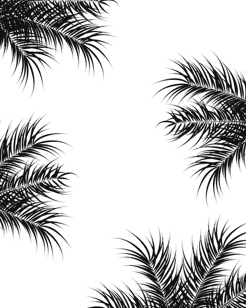 Tropical design with black palm leaves and plants on white background