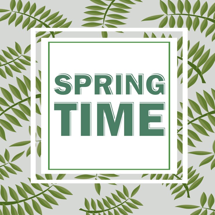 Vector tropical design with palm leaves. spring time. vector floral template frame on grey background