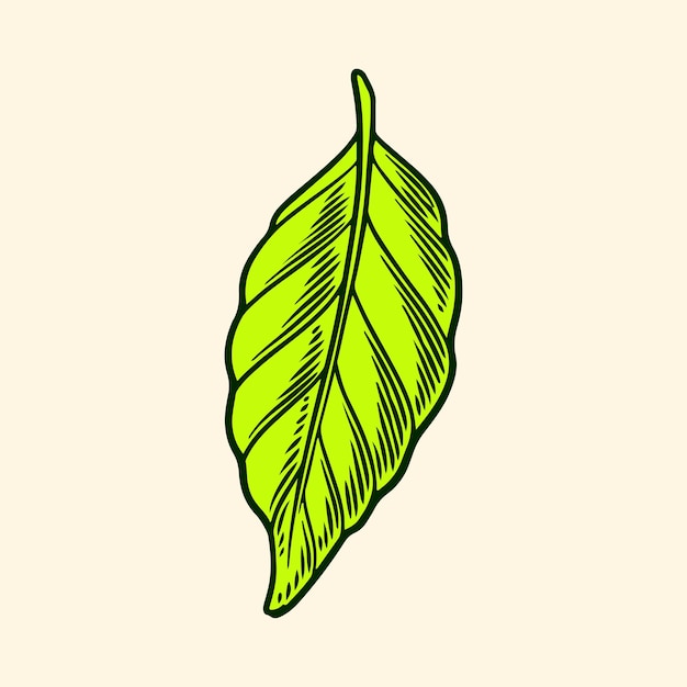 Vector tropical element illustration