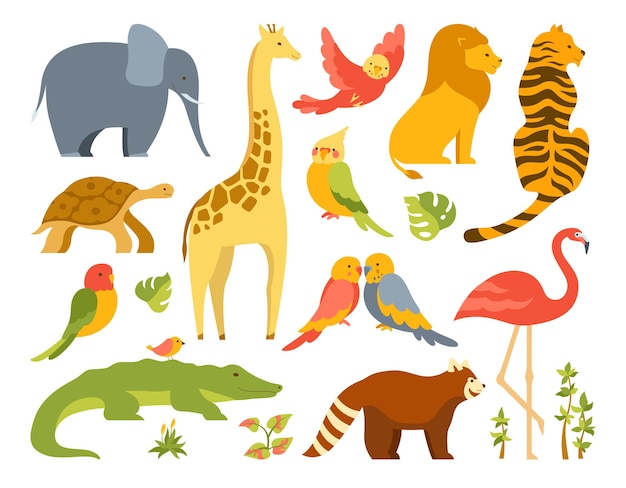 Tropical exotic animal cute child cartoon set hawaiian parrot african safari bird and jungle animals