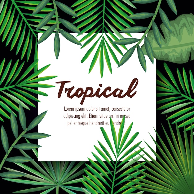 Tropical and exotic palms leafs