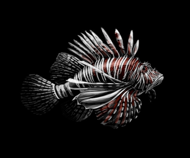 Vector tropical fish. portrait of a lionfish on a black background. vector illustration