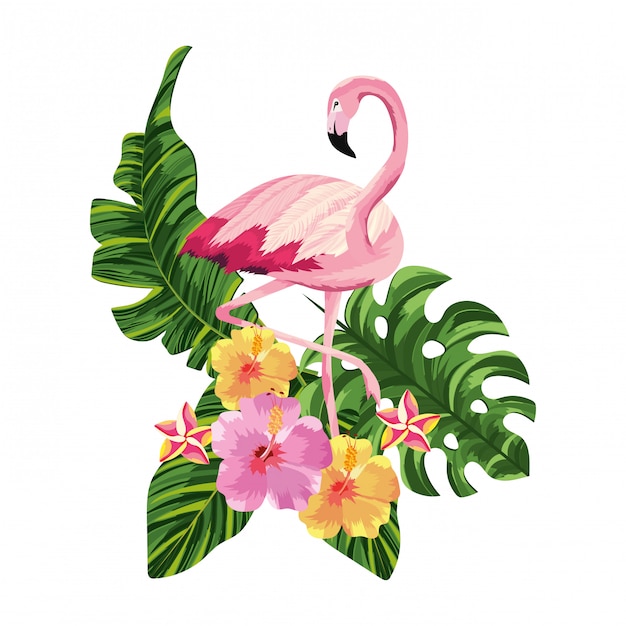 Vector tropical flamingo cartoon