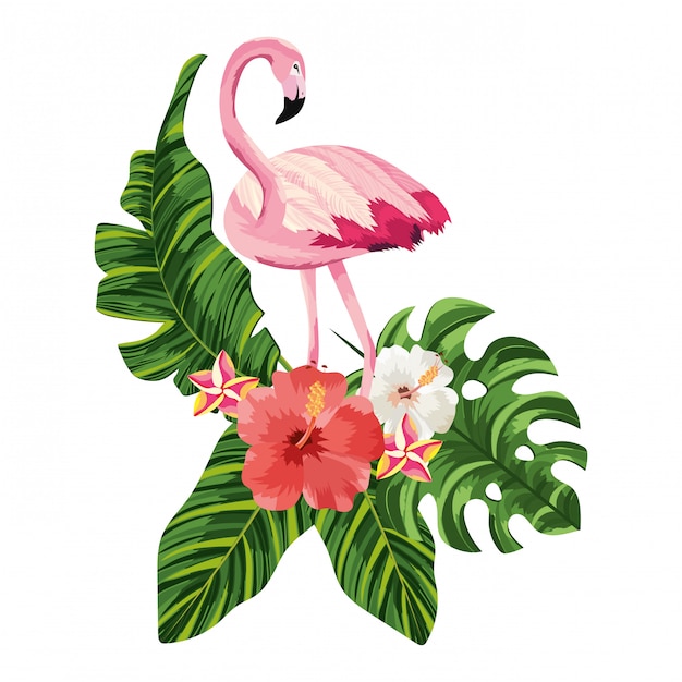 Tropical flamingo cartoon