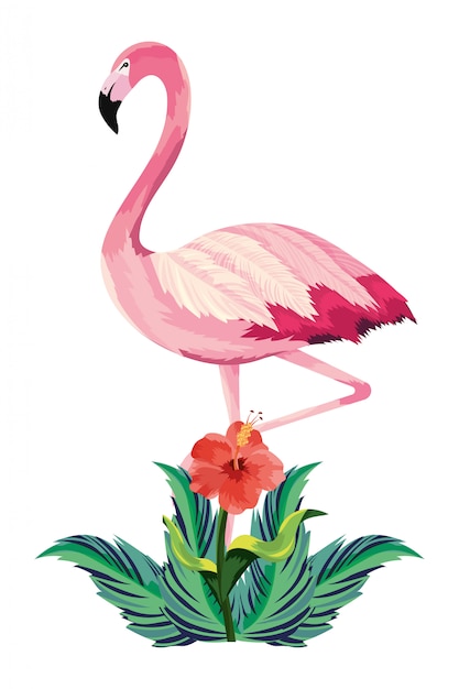 Vector tropical flamingo cartoon