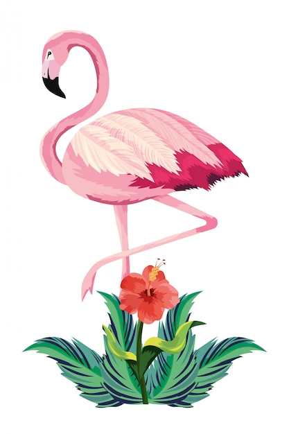 Tropical flamingo cartoon