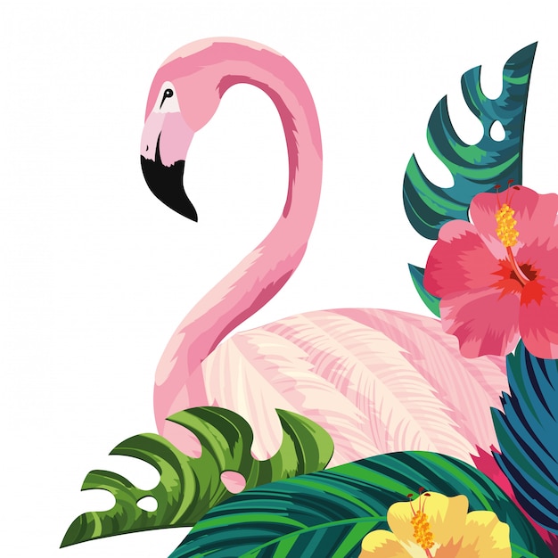 Tropical flamingo cartoon