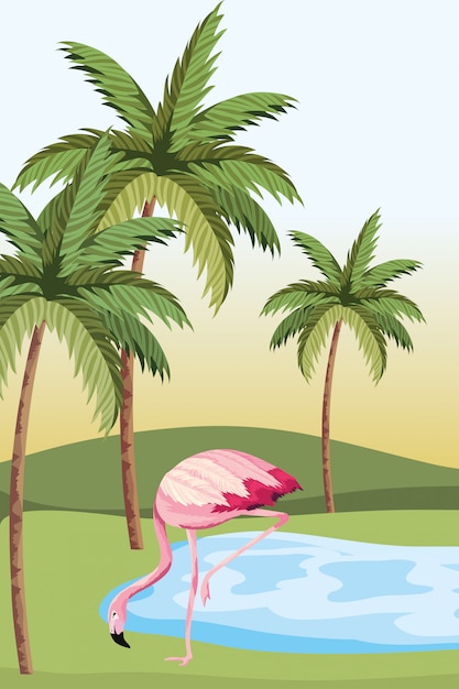 Tropical flamingo cartoon