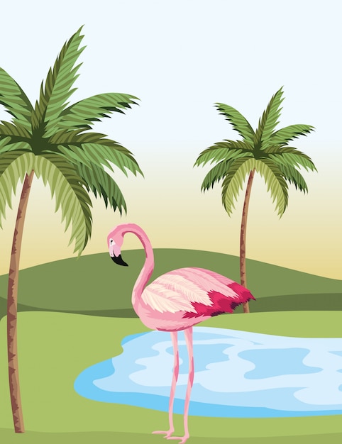 Мультфильм тропический фламинго