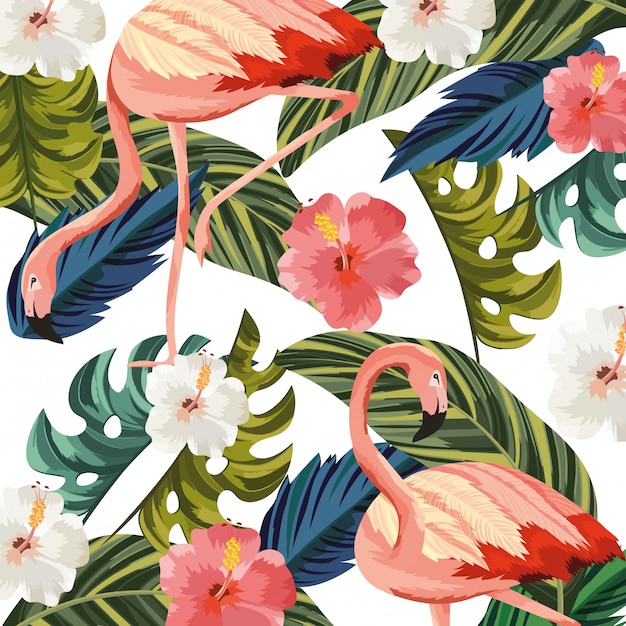 Tropical flamingos cartoon