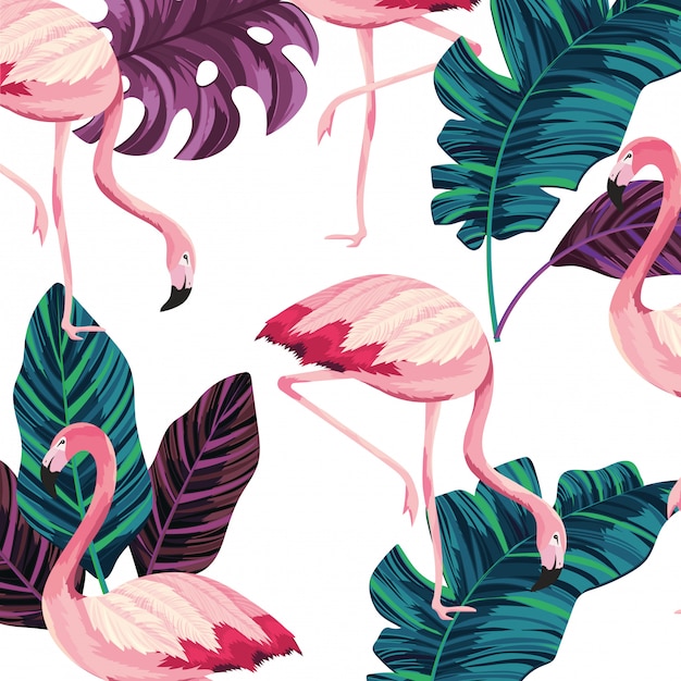 Tropical flamingos cartoon  