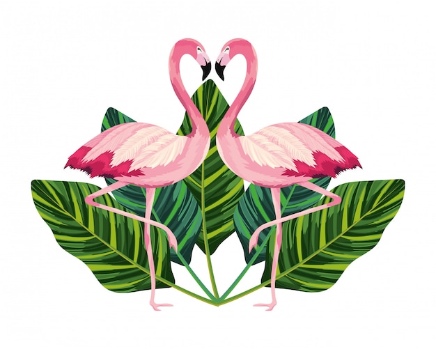Tropical flamingos cartoon