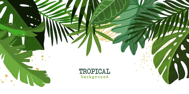 Tropical floral background hand drawn cartoon art