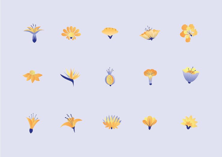Vector 열대 꽃 컬렉션