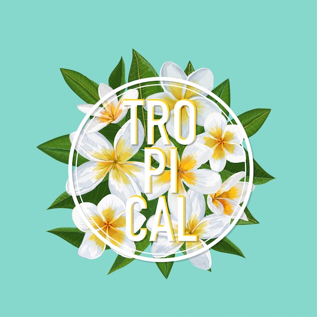 Vector tropical floral summer design. plumeria flowers