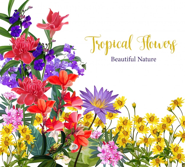 Tropical flower background