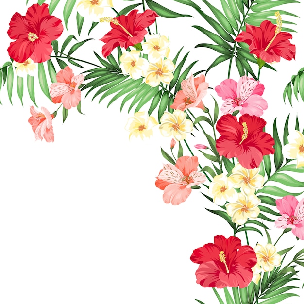 Tropical flower garland.