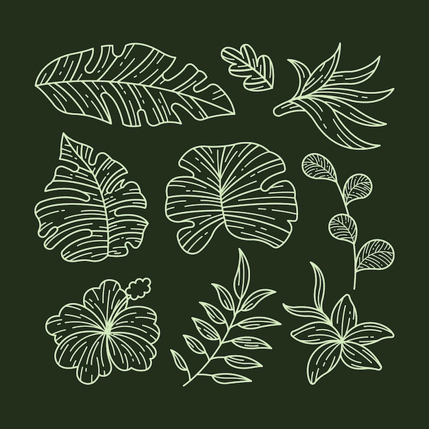 Vector tropical flower and leaf collection design