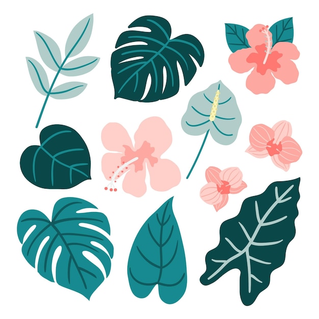 Tropical flower and leaf collection design