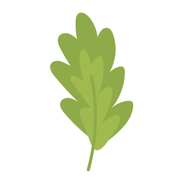 tropical flower and leaf illustration on white background