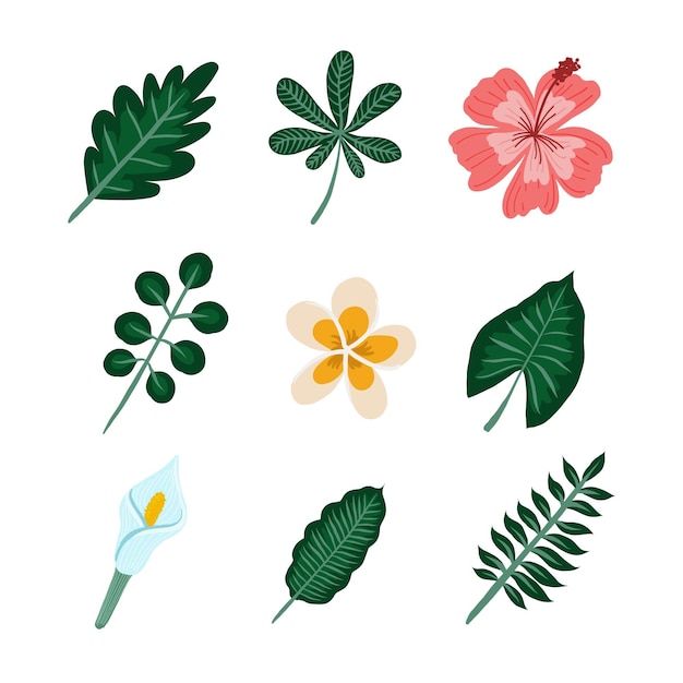 Vector tropical flower and leaf pack