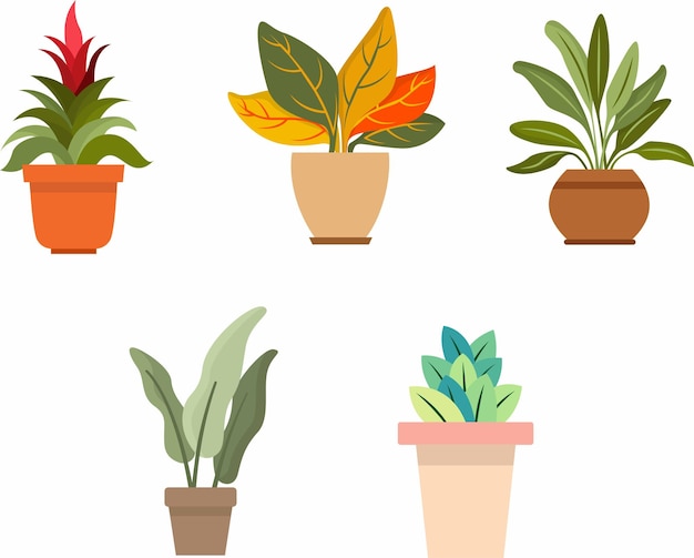 Tropical Flower Pot Illustration Various of Potted Plants Home Decorative Plants Set Illustration