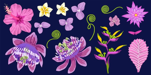 ベクトル 熱帯の花コレクション手描きベクトルアート