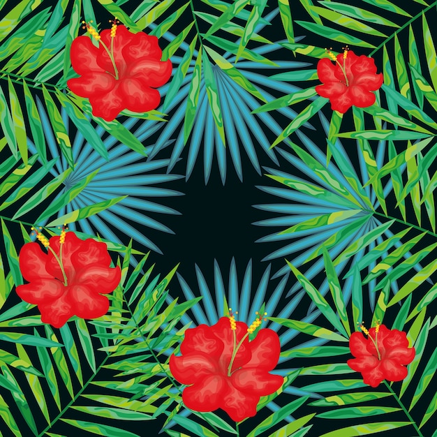 tropical flowers decorative card vector illustration design
