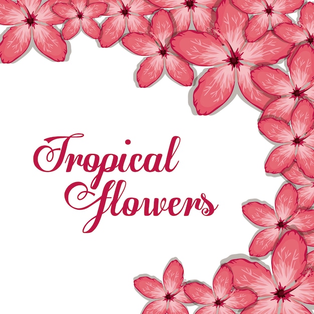 Tropical flowers design